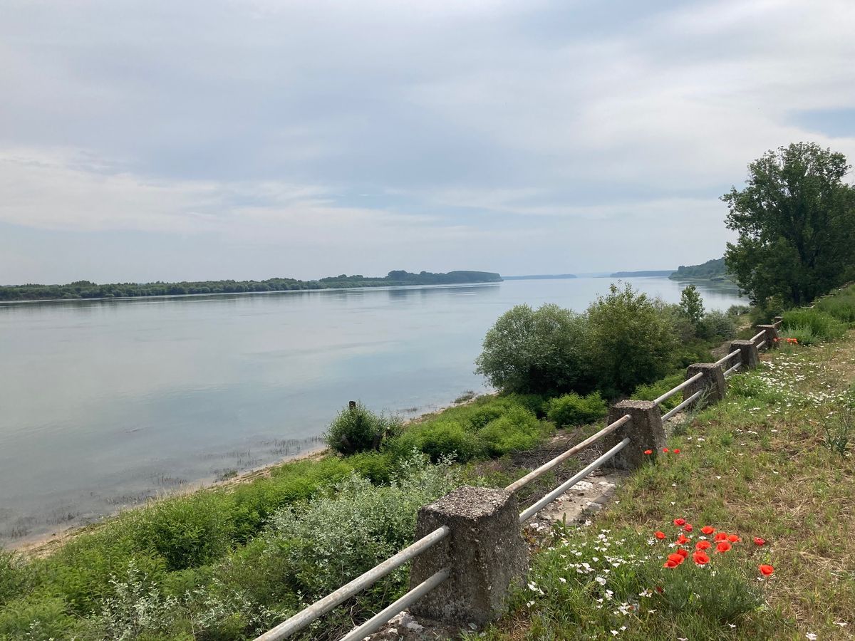 Danube1-J18_1200.jpg