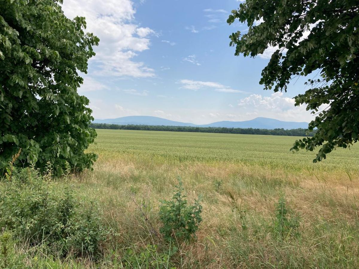 paysage1-J18_1200.jpg