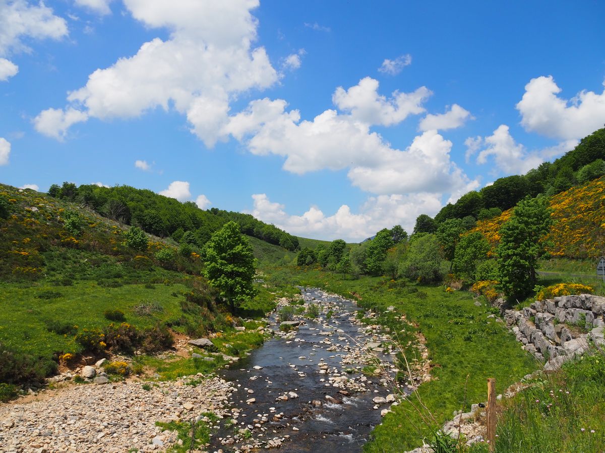 P6111202-J5-5.jpg