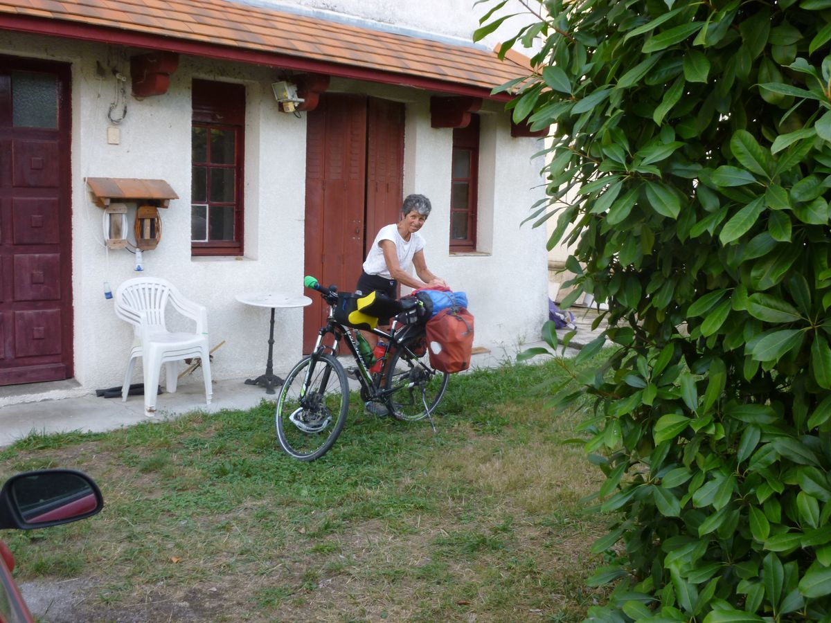 P1060217_1200.jpg